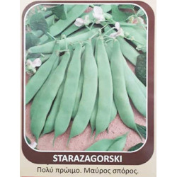 Σπόρος φασόλι Starazagorski (Bουλγάρα) 1kg